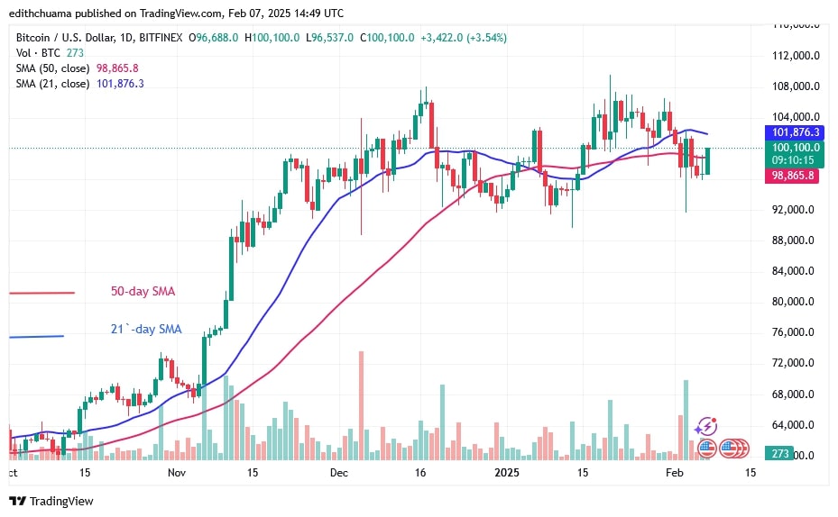 BTCUSD_(Daily Chart)- FEB.07.jpg