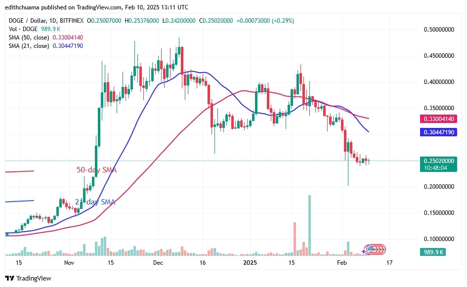 DOGEUSD(Daily Chart) -JAN.10.jpg