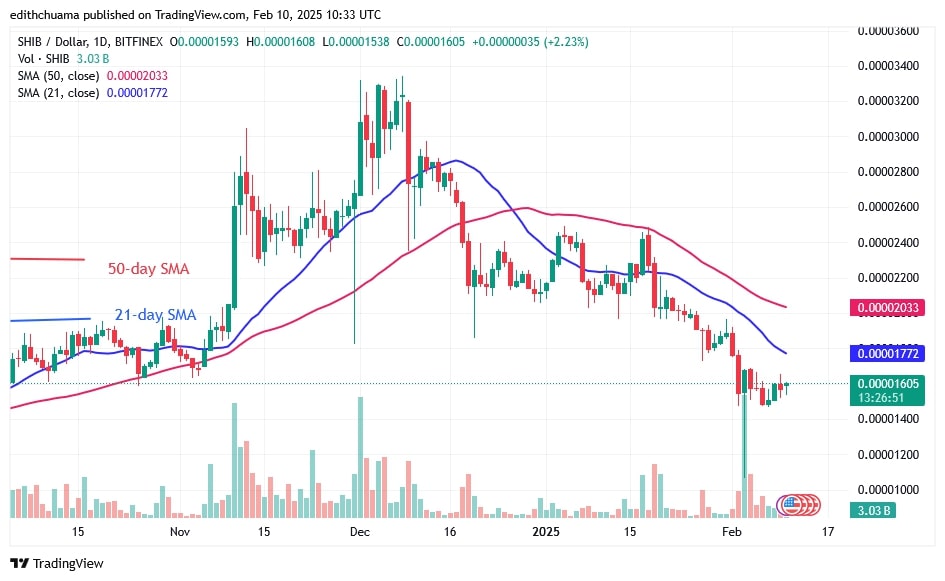SHIBUSD_(Daily Chart) - FEB.10, 2025 SHIBUSD_(Daily Chart) - FEB.10.jpg