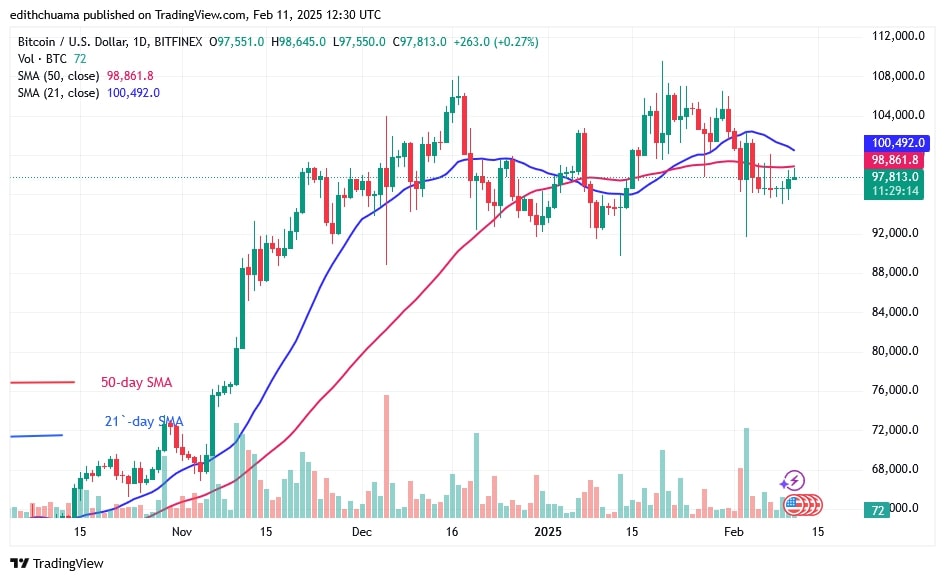 BTCUSD_(Daily Chart) - FEB.11, 2025 BTCUSD_(Daily Chart) - FEB.11.jpg