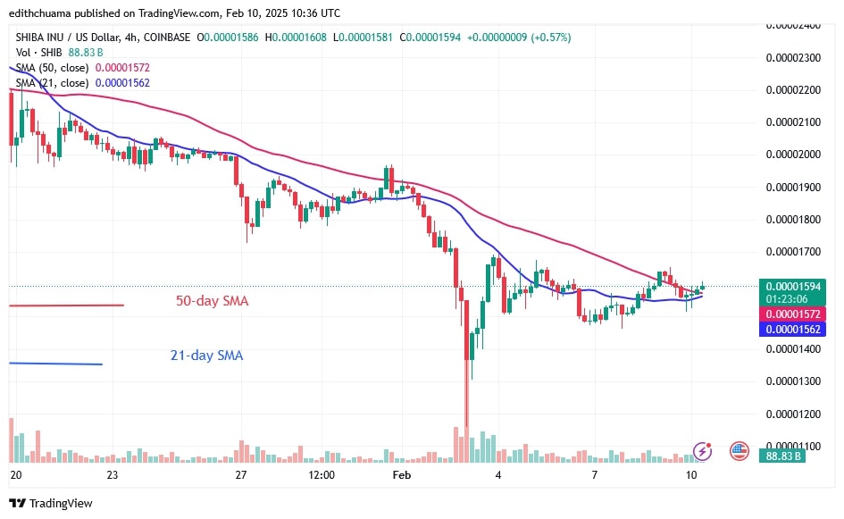 SHIBUSD_(4-Hour Chart) - FEB.10, 2025 SHIBUSD_(4-Hour Chart) - FEB.10.jpg