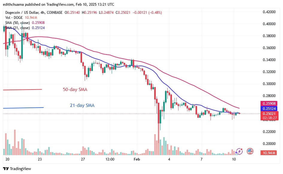 DOGEUSD_(4-Hour Chart) - FEB.10 (1).jpg