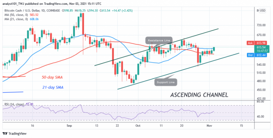 BCHUSD(Daily_Chart)_-_NOV._3.png BCHUSD(Daily_Chart)_-_NOV._3.png